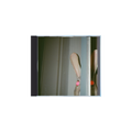 rabbit cd