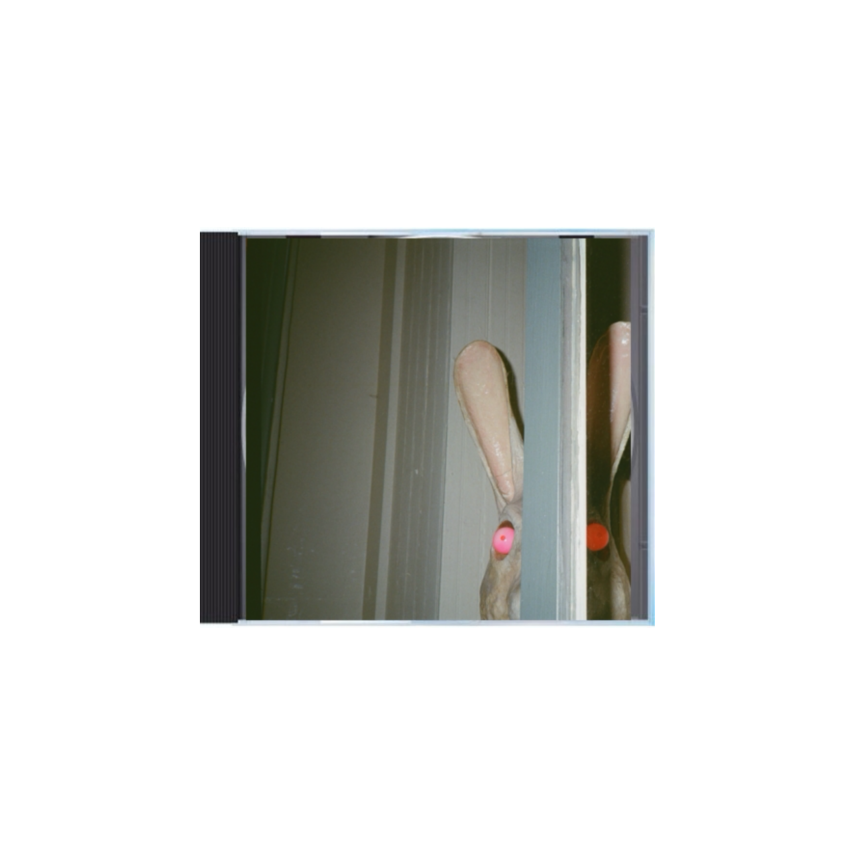 rabbit cd